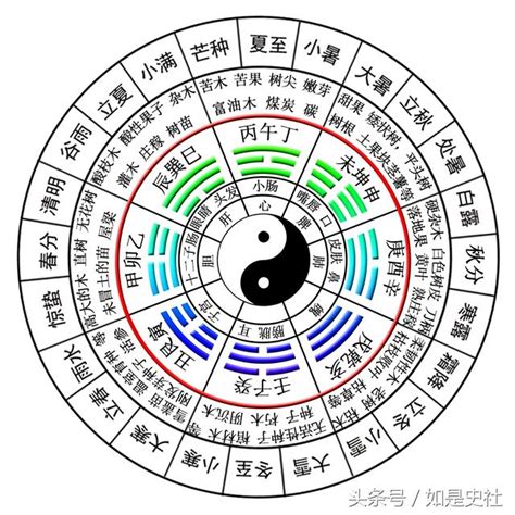 屬木的數字|第5集 易學實用系列——「木」的五行屬性是什麼？